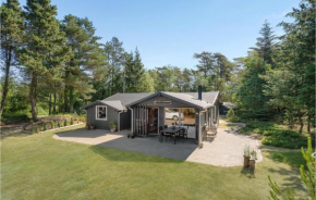 Stunning Home In Blåvand With Wifi